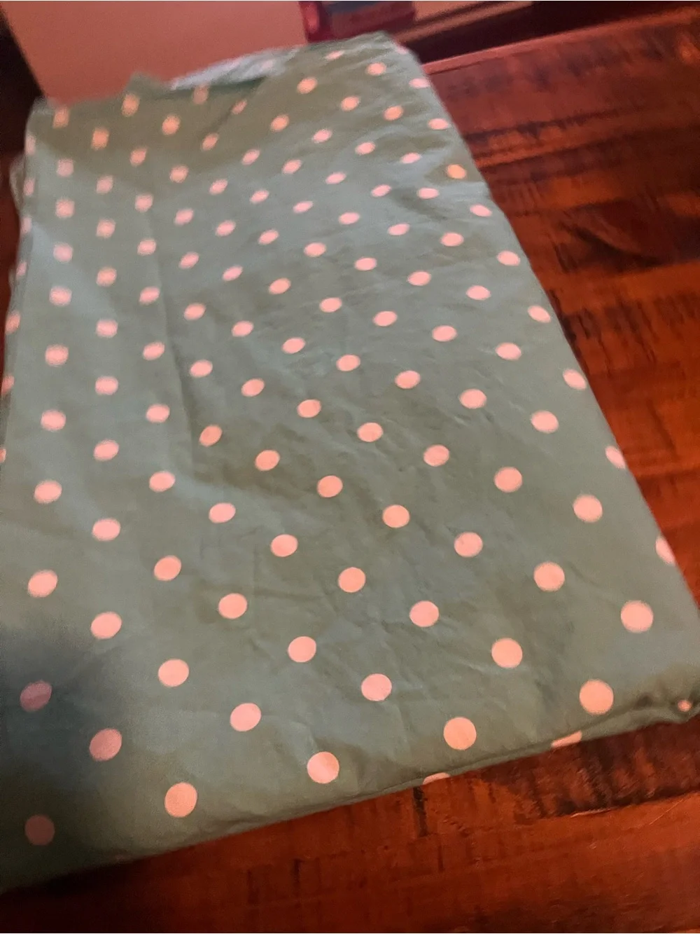 Pottery Barn Polka Dot Powder Green Full Flat sheet